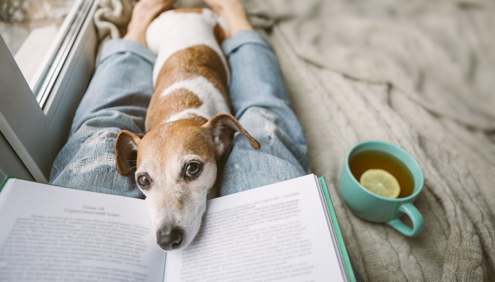 Läs dig frisk från psykisk ohälsa i karantäntider