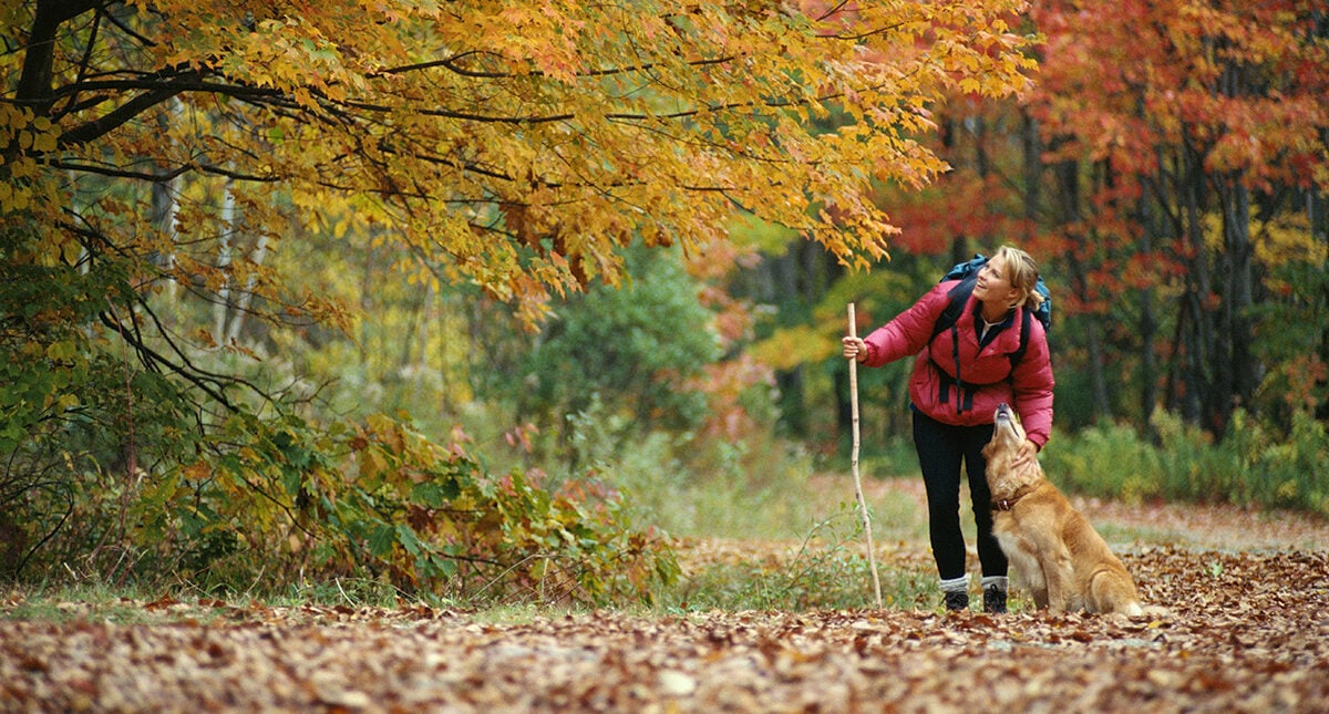 Sänk blodtrycket utan medicin