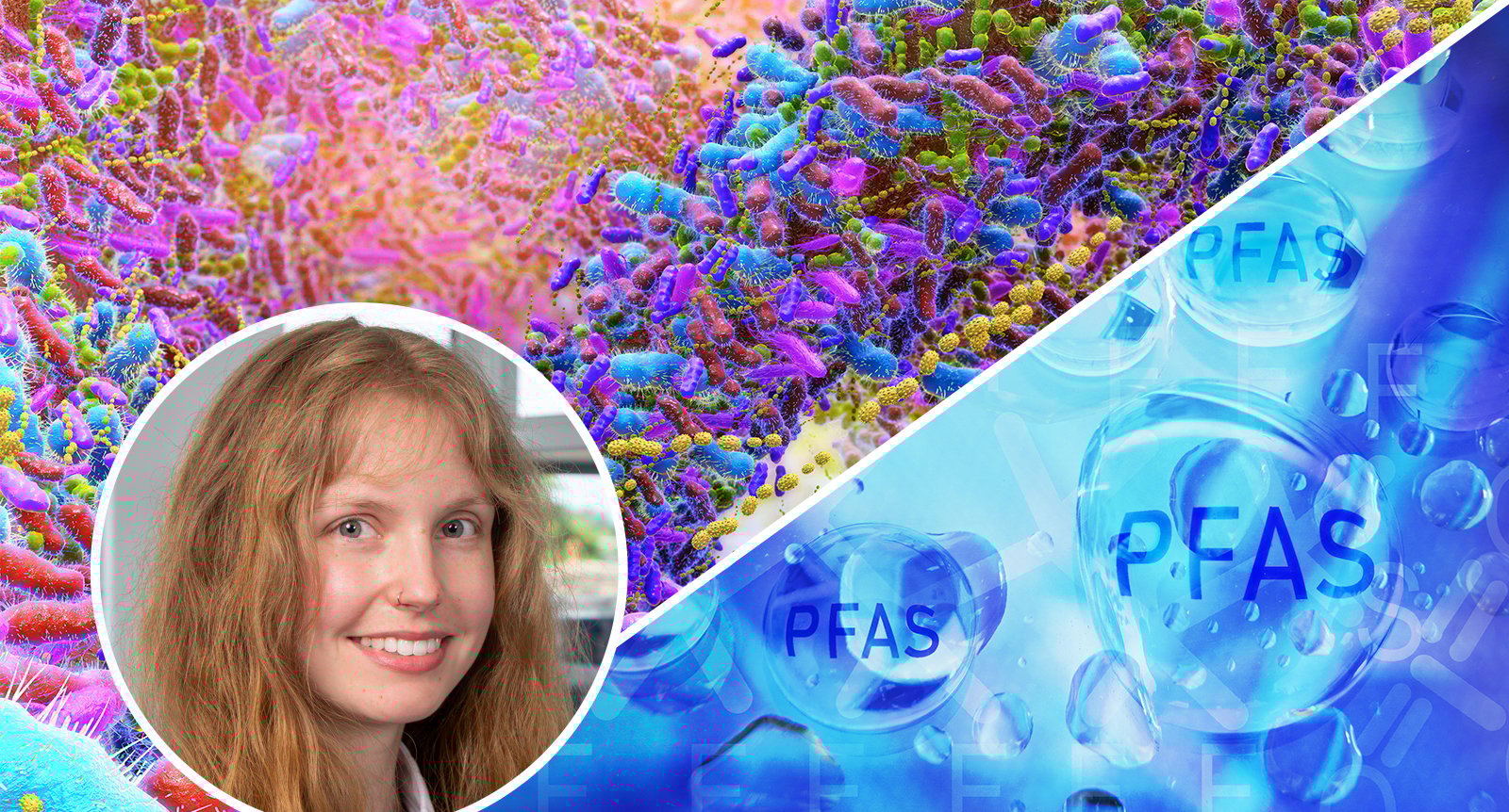 Tarmbakterier kan skydda oss mot PFAS – det här säger forskningen